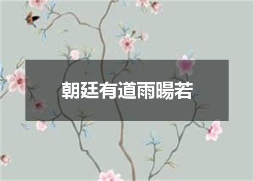 朝廷有道雨暘若