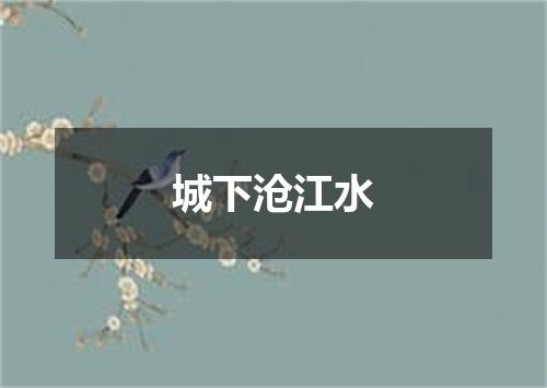 城下沧江水