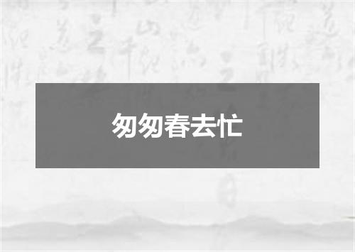 匆匆春去忙