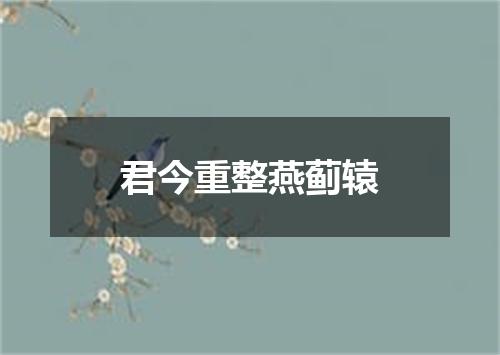 君今重整燕蓟辕