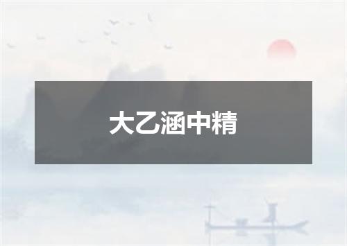 大乙涵中精