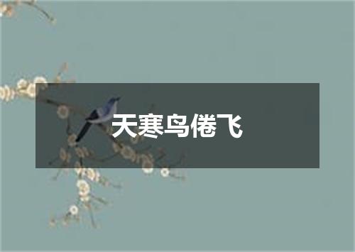 天寒鸟倦飞