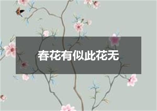 春花有似此花无