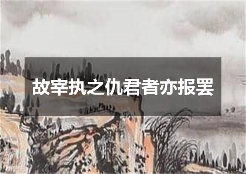 故宰执之仇君者亦报罢