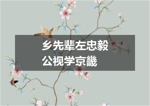 乡先辈左忠毅公视学京畿