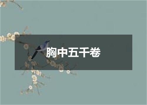 胸中五千卷
