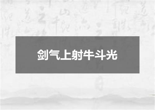 剑气上射牛斗光