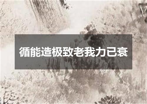 循能造极致老我力已衰