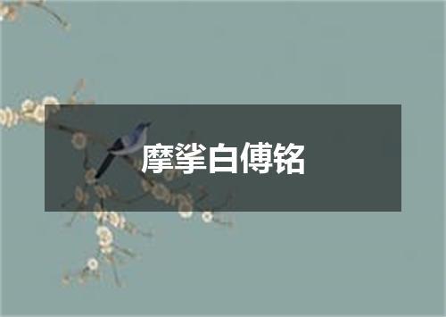 摩挲白傅铭