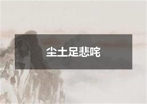 尘土足悲咤