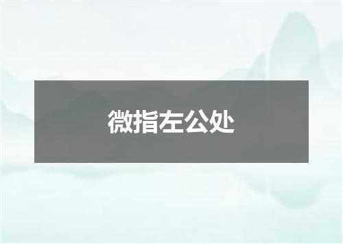 微指左公处