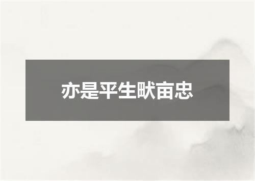 亦是平生畎亩忠