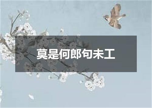 莫是何郎句未工