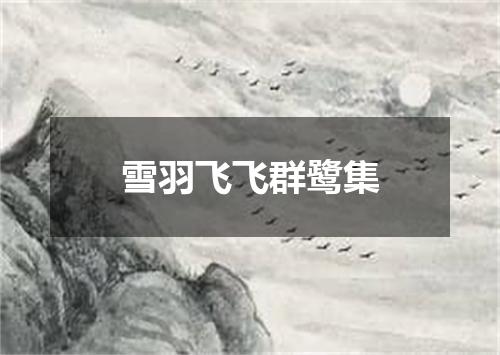 雪羽飞飞群鹭集
