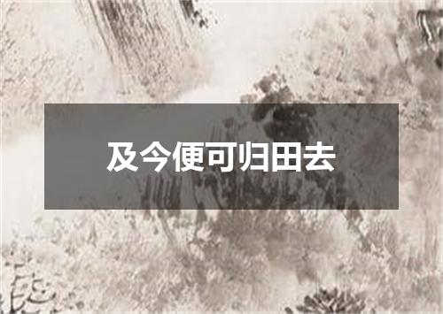 及今便可归田去