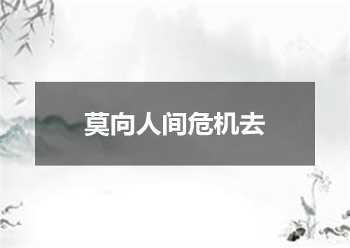 莫向人间危机去