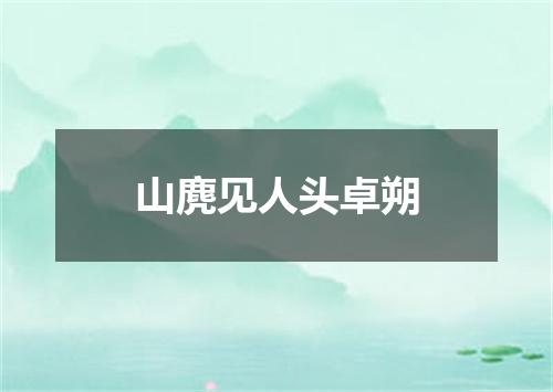 山麂见人头卓朔
