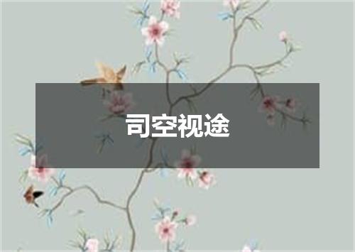 司空视途