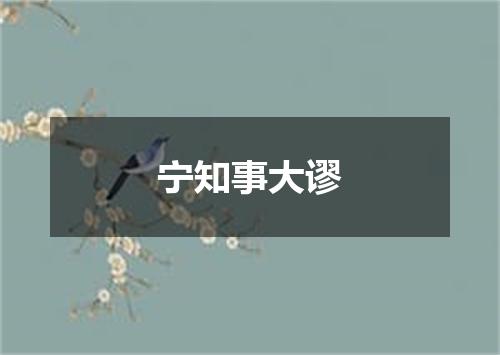 宁知事大谬