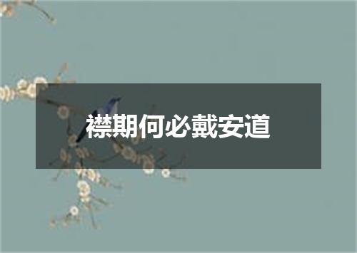 襟期何必戴安道