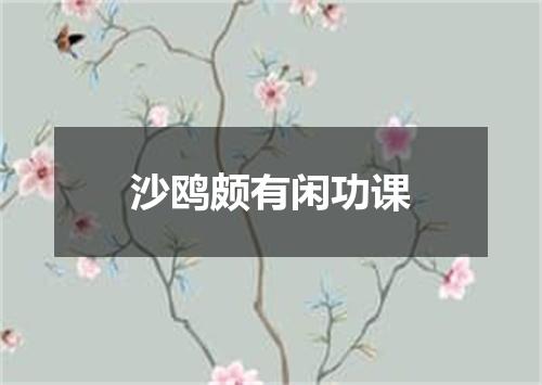 沙鸥颇有闲功课