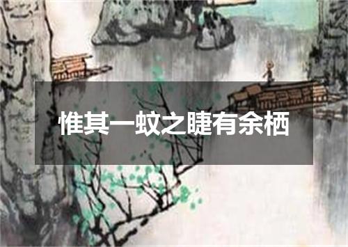 惟其一蚊之睫有余栖