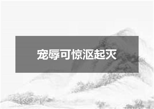宠辱可惊沤起灭