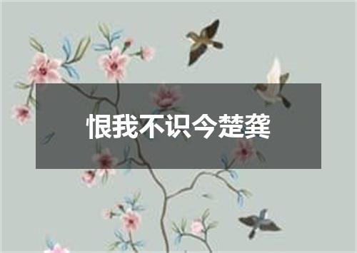 恨我不识今楚龚