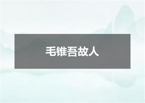 毛锥吾故人