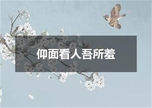 仰面看人吾所羞