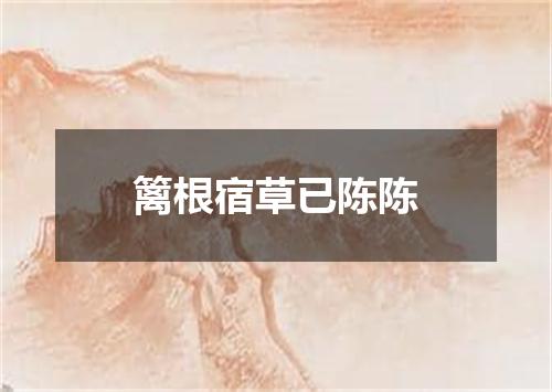 篱根宿草已陈陈