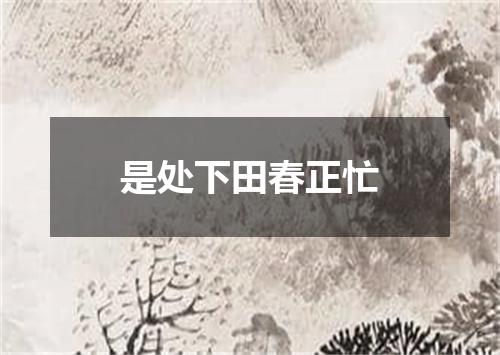 是处下田春正忙