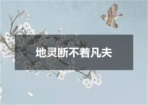 地灵断不着凡夫