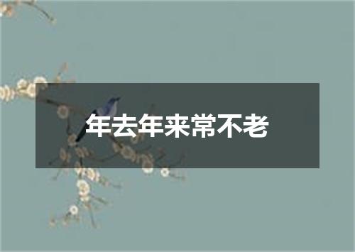 年去年来常不老
