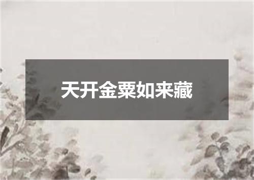 天开金粟如来藏
