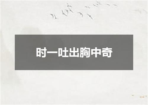 时一吐出胸中奇
