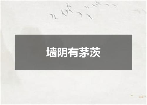 墙阴有茅茨