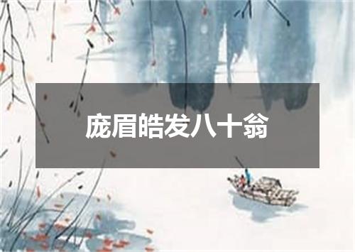 庞眉皓发八十翁