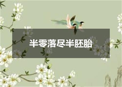半零落尽半胚胎