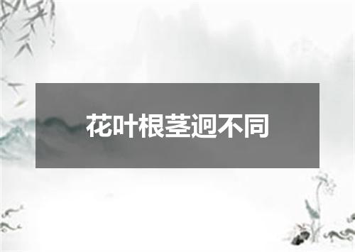 花叶根茎迥不同