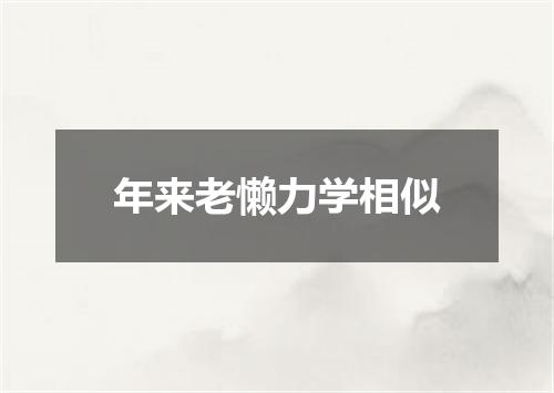 年来老懒力学相似