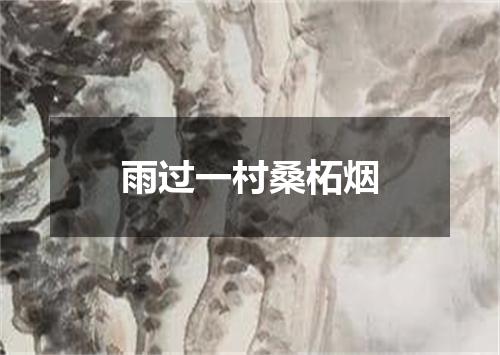 雨过一村桑柘烟