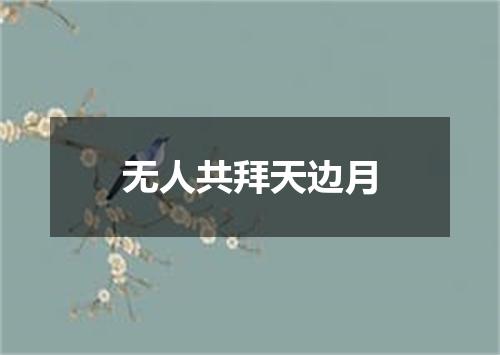 无人共拜天边月