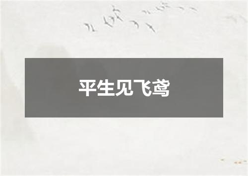 平生见飞鸢