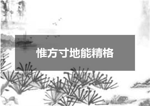 惟方寸地能精格