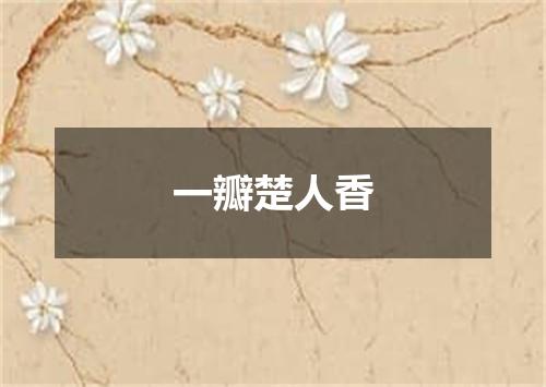 一瓣楚人香