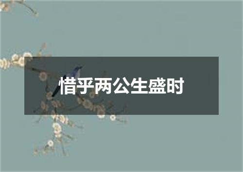 惜乎两公生盛时