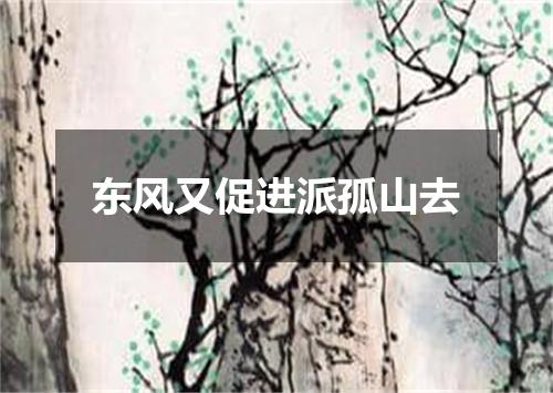 东风又促进派孤山去