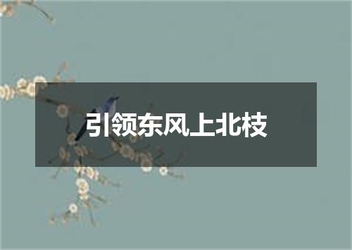引领东风上北枝