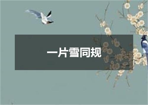 一片雪同规